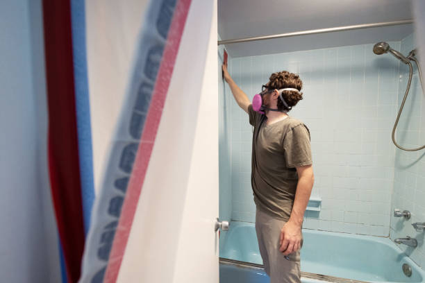 Best Mold Prevention Services  in Heartland, TX