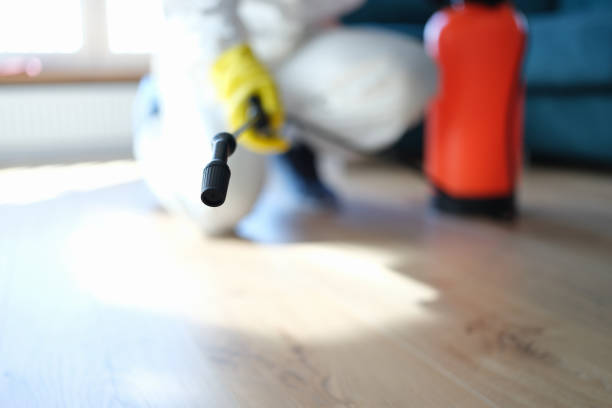 Best Mold Odor Removal Services  in Heartland, TX
